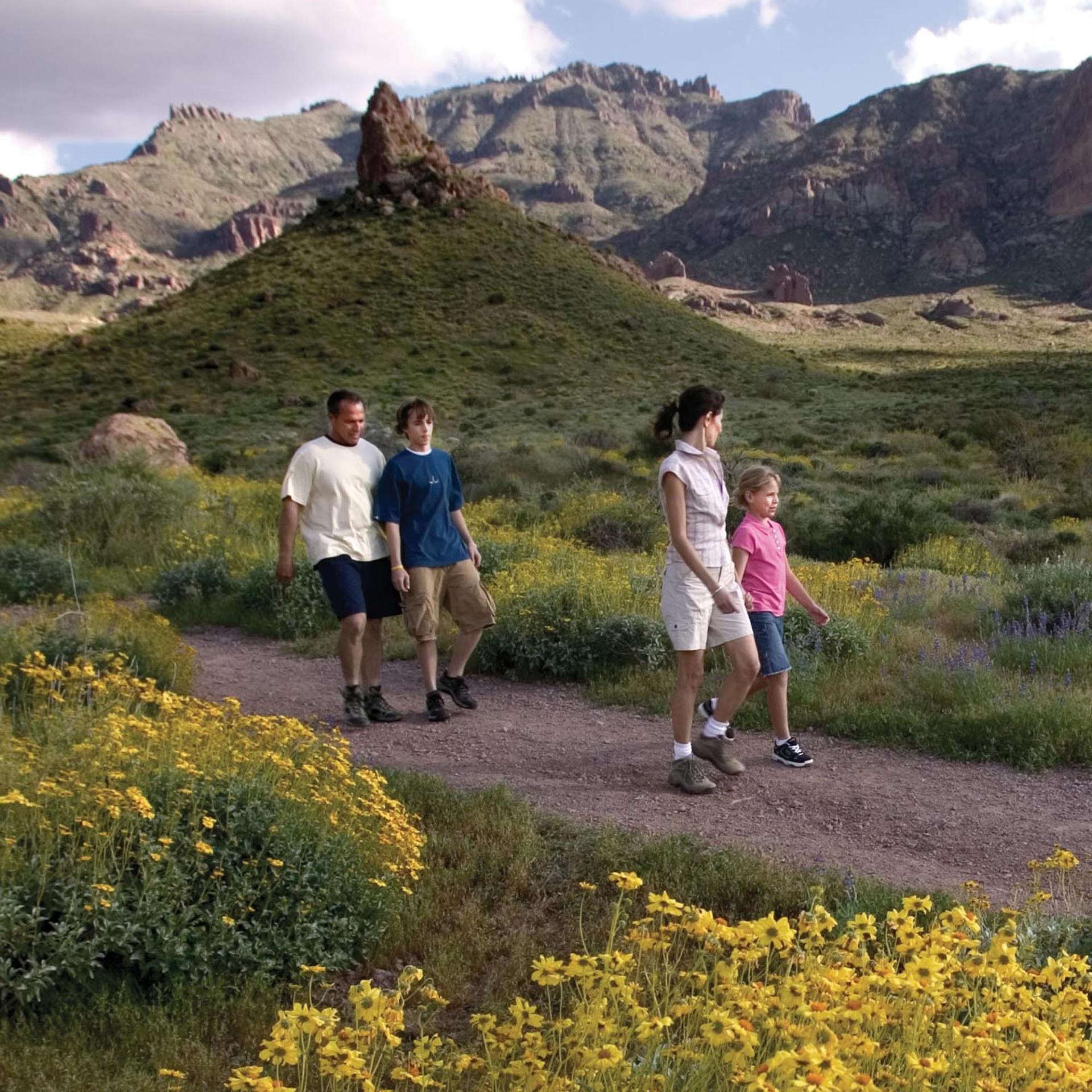 Image of a family hiking