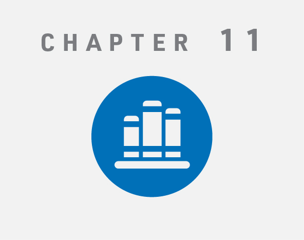 Chapter 11 Icon