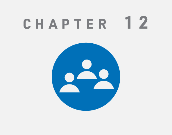 Chapter 12 Icon