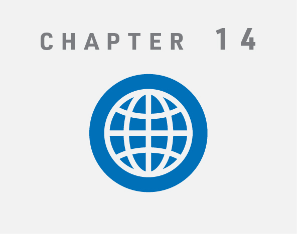 Chapter 14 Icon