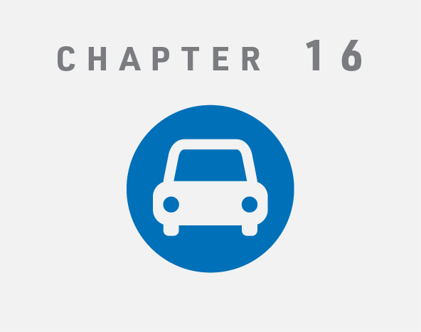 Chapter 16 Icon