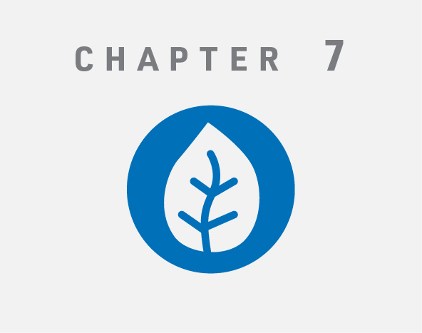 Chapter 7 Icon